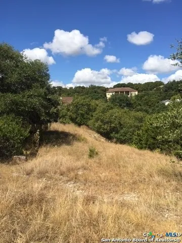 318 Gallagher Drive Canyon Lake, TX 78133