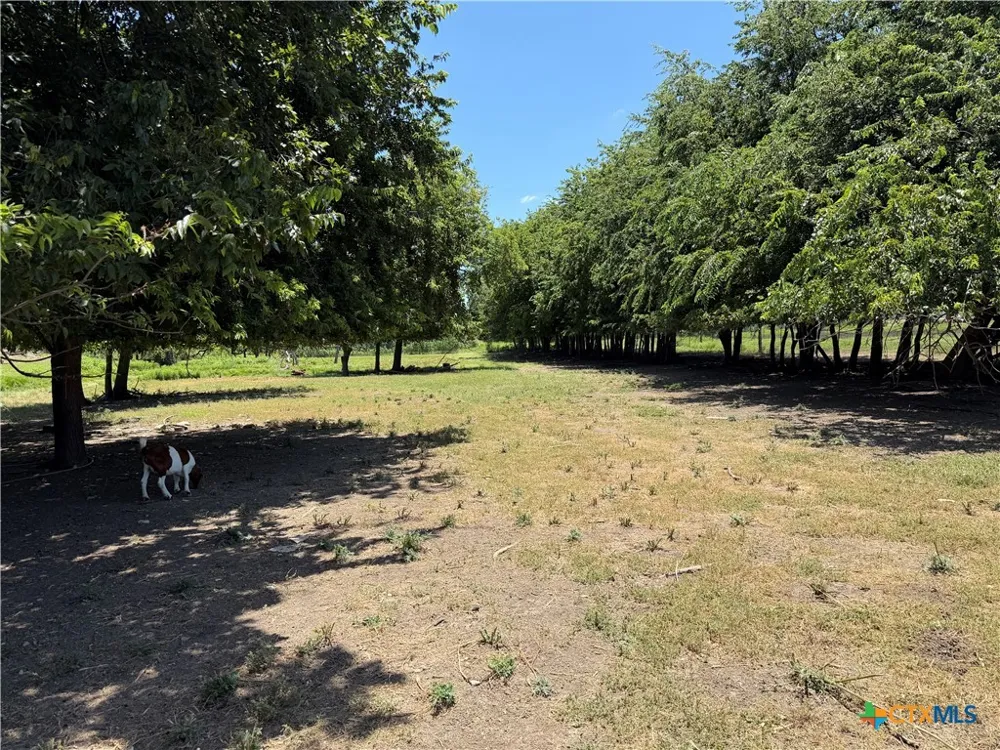 County Road 306 Road Jarrell, TX 76537