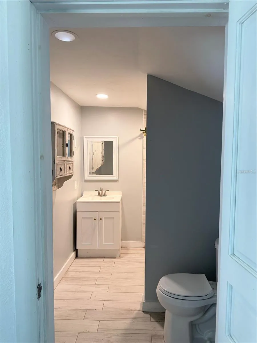 1243 DINGENS AVENUE Windermere, FL 34786