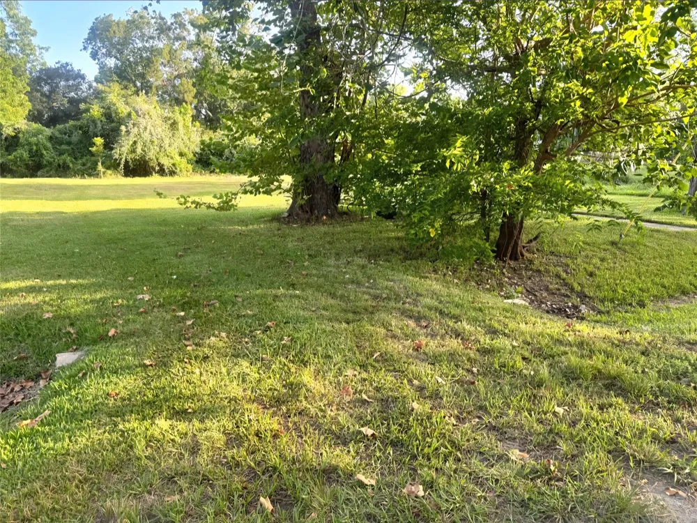 1421 W Lobitt Street Alvin, TX 77511
