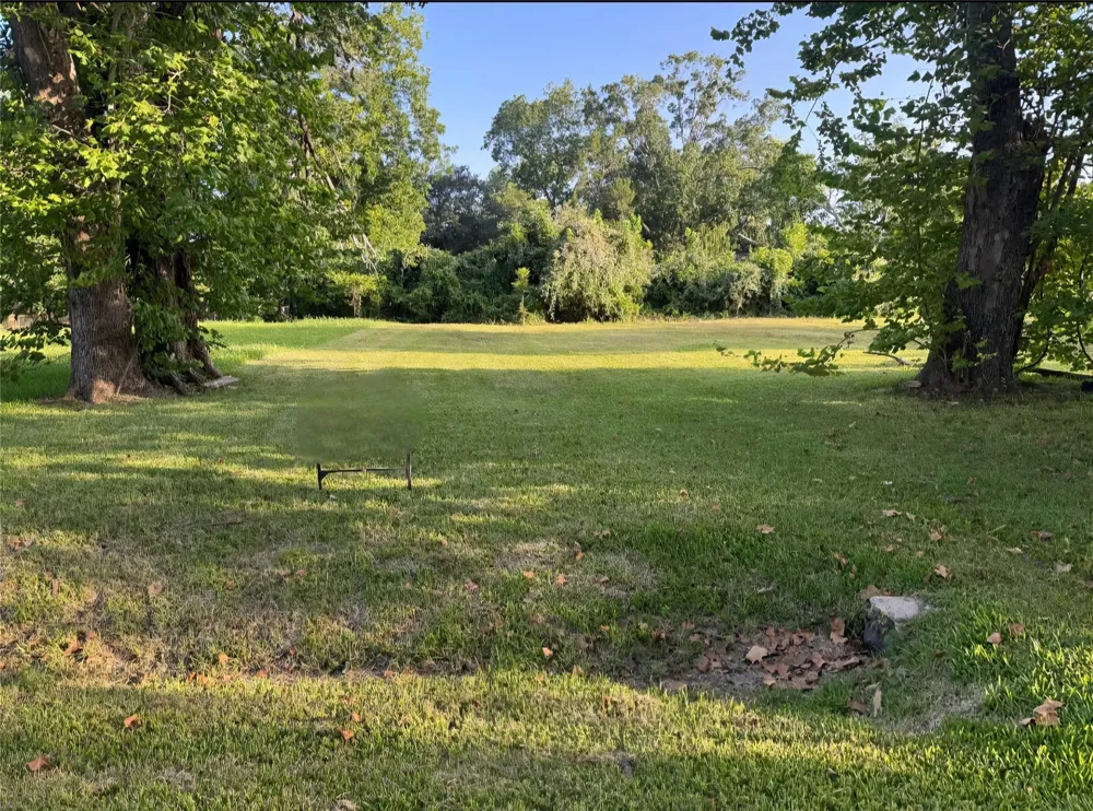 1421 W Lobitt Street Alvin, TX 77511