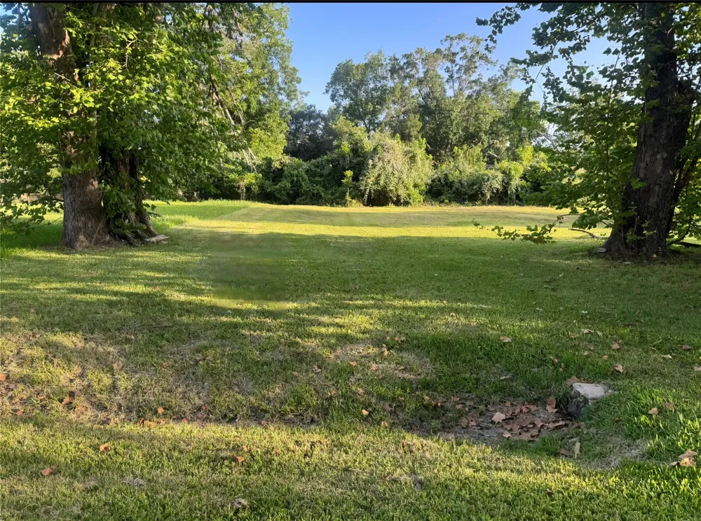 1421 W Lobitt Street Alvin, TX 77511
