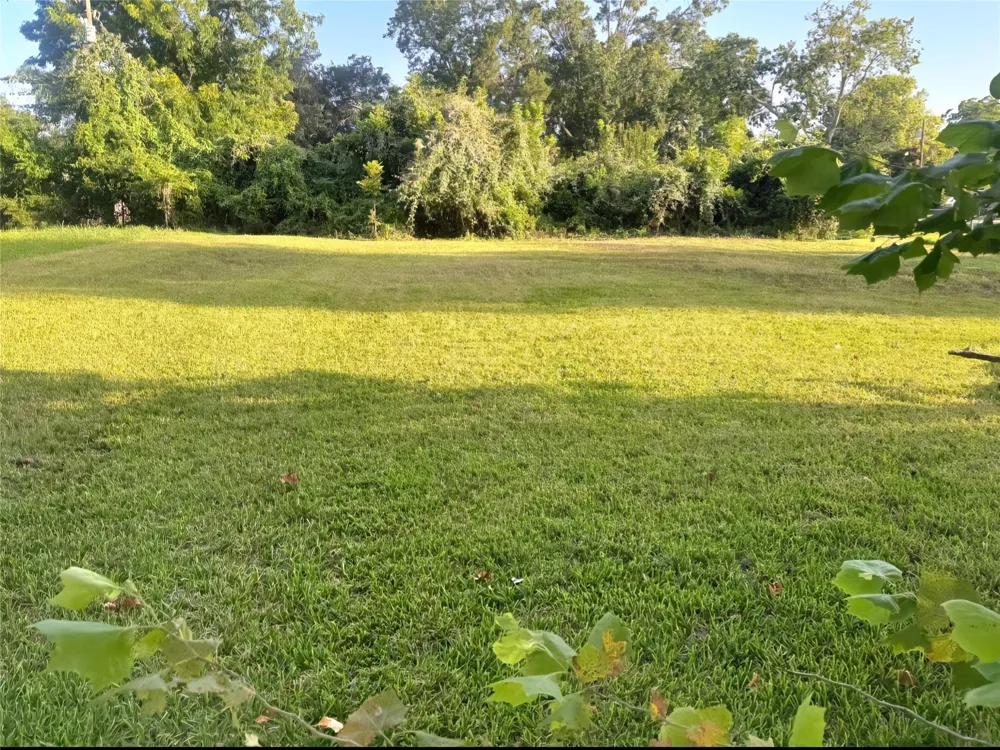 1421 W Lobitt Street Alvin, TX 77511