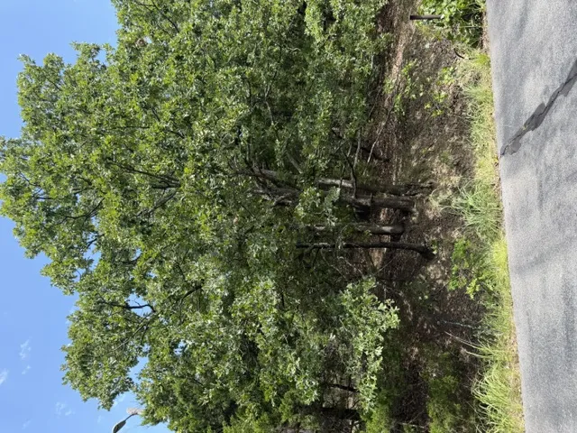 2291 W Crosswinds Circle Cleveland, OK 74020