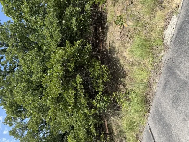 2291 W Crosswinds Circle Cleveland, OK 74020