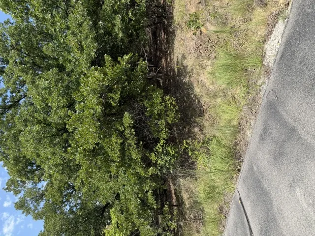 2291 W Crosswinds Circle Cleveland, OK 74020