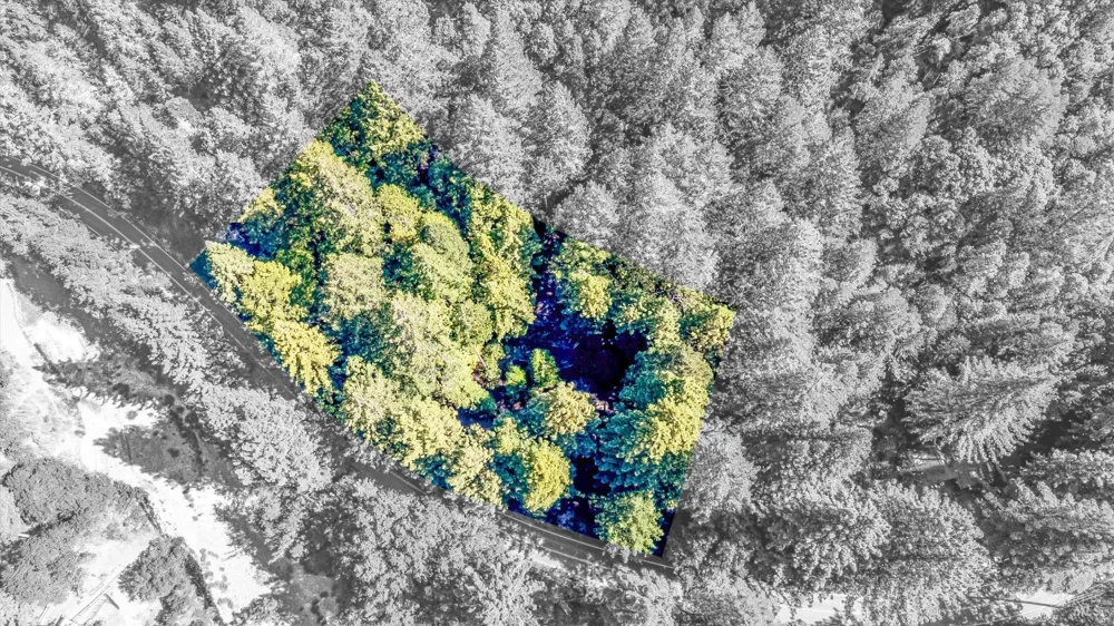 4350 Cazadero Highway Cazadero, CA 95421