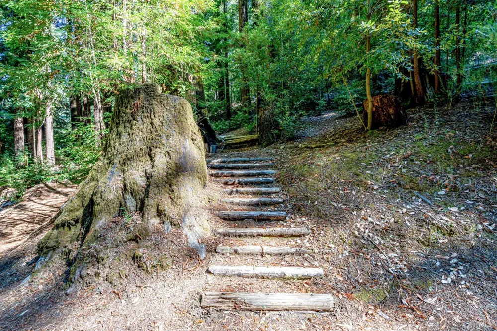 4350 Cazadero Highway Cazadero, CA 95421