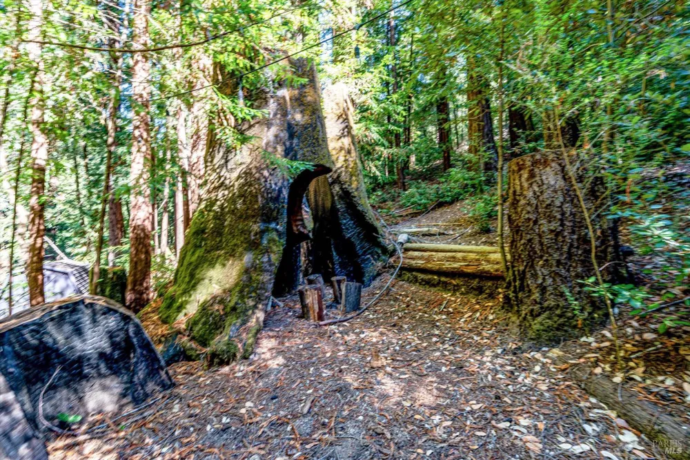 4350 Cazadero Highway Cazadero, CA 95421