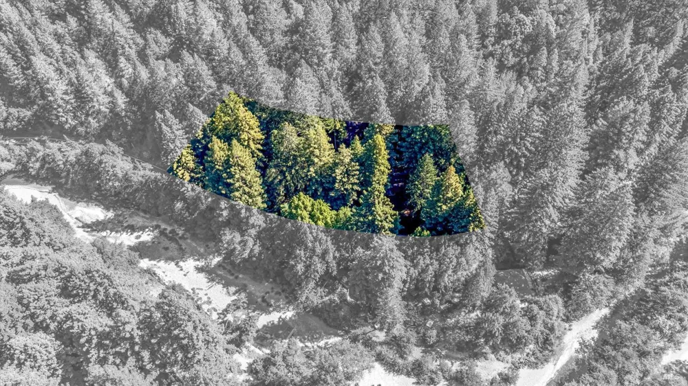 4350 Cazadero Highway Cazadero, CA 95421