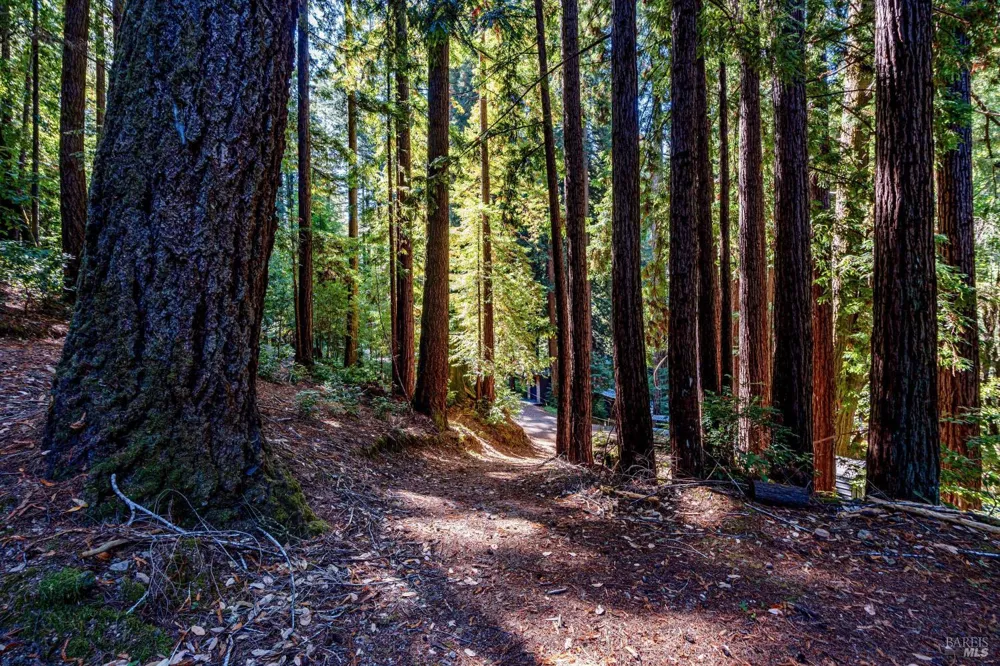 4350 Cazadero Highway Cazadero, CA 95421