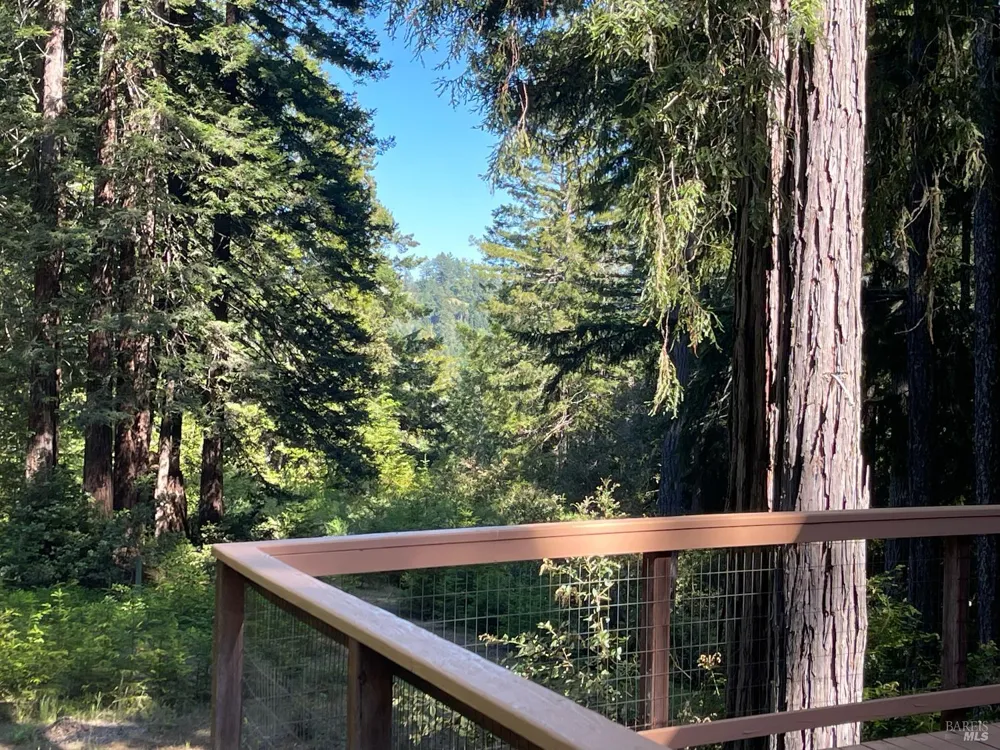 35905 Hauser Bridge Road ##J Cazadero, CA 95421