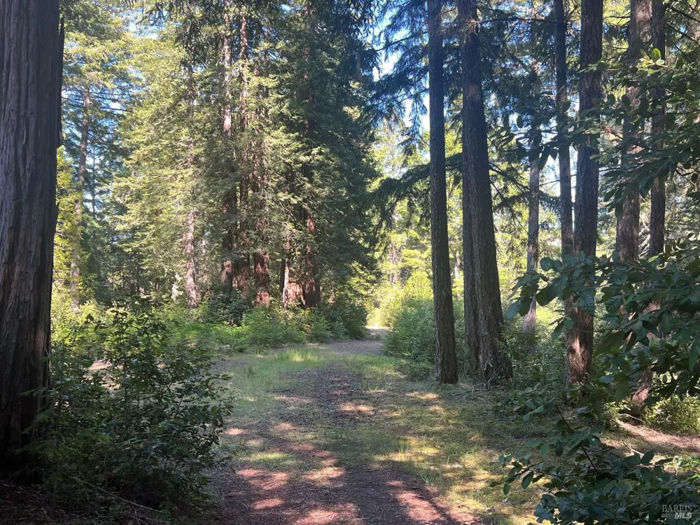 35905 Hauser Bridge Road ##J Cazadero, CA 95421