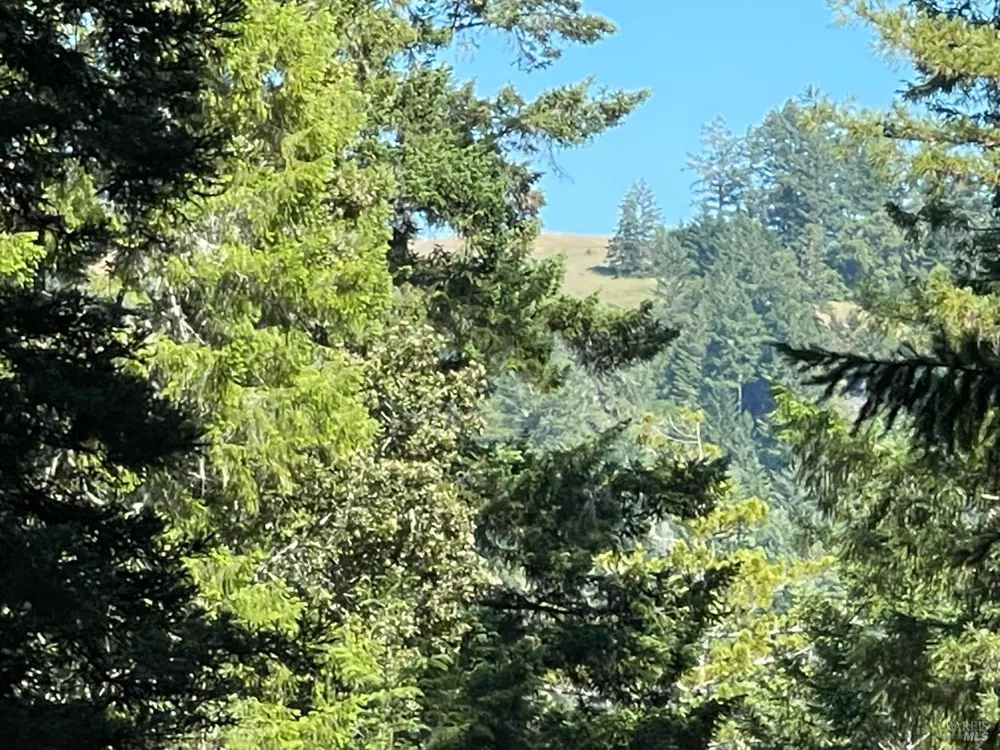 35905 Hauser Bridge Road ##J Cazadero, CA 95421