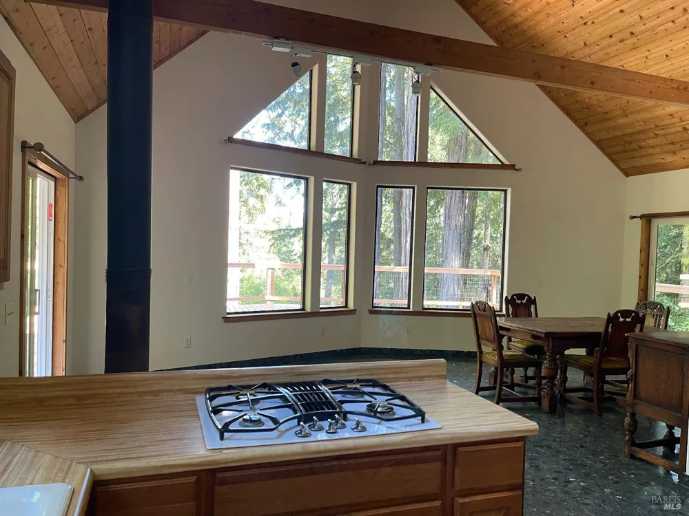 35905 Hauser Bridge Road ##J Cazadero, CA 95421
