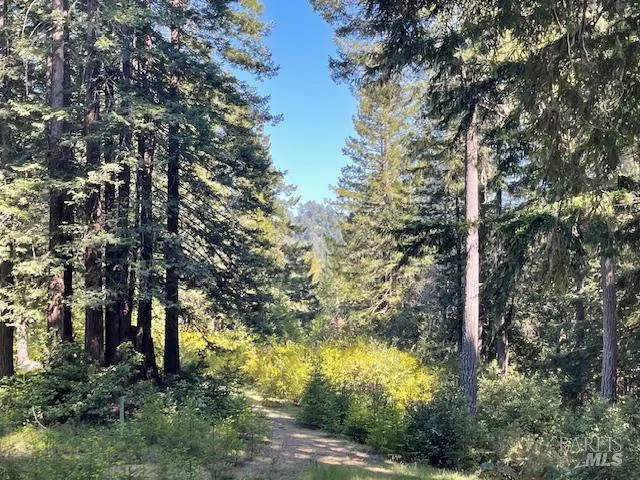 35905 Hauser Bridge Road ##J Cazadero, CA 95421