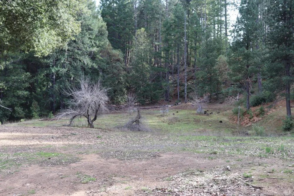 7020 Hearst Road Willits, CA 95490