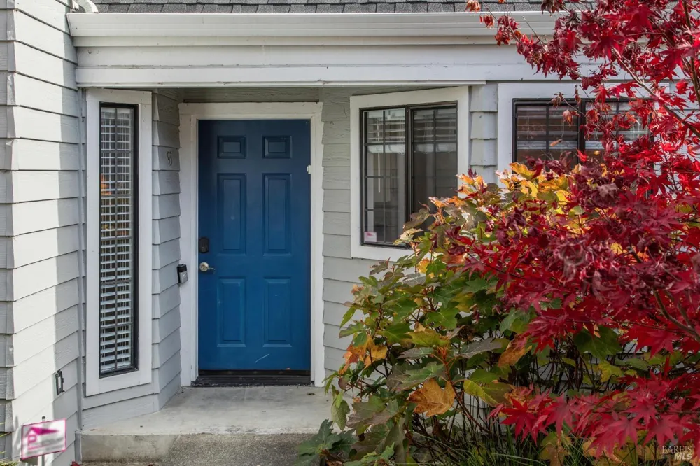 93 Ashford Avenue Mill Valley, CA 94941