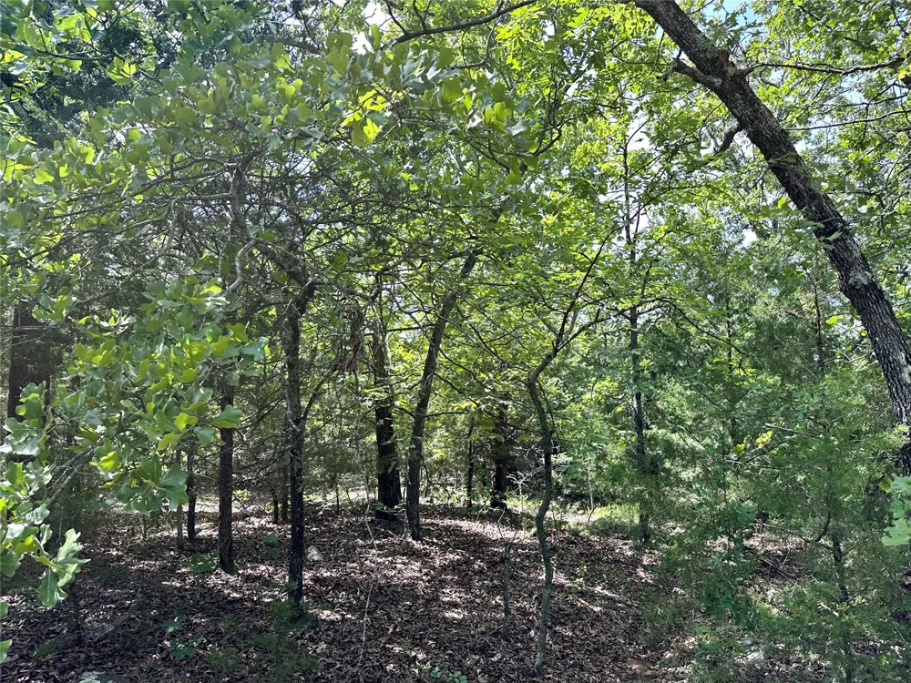 623 Dozer Mountain Road Eufaula, OK 74432