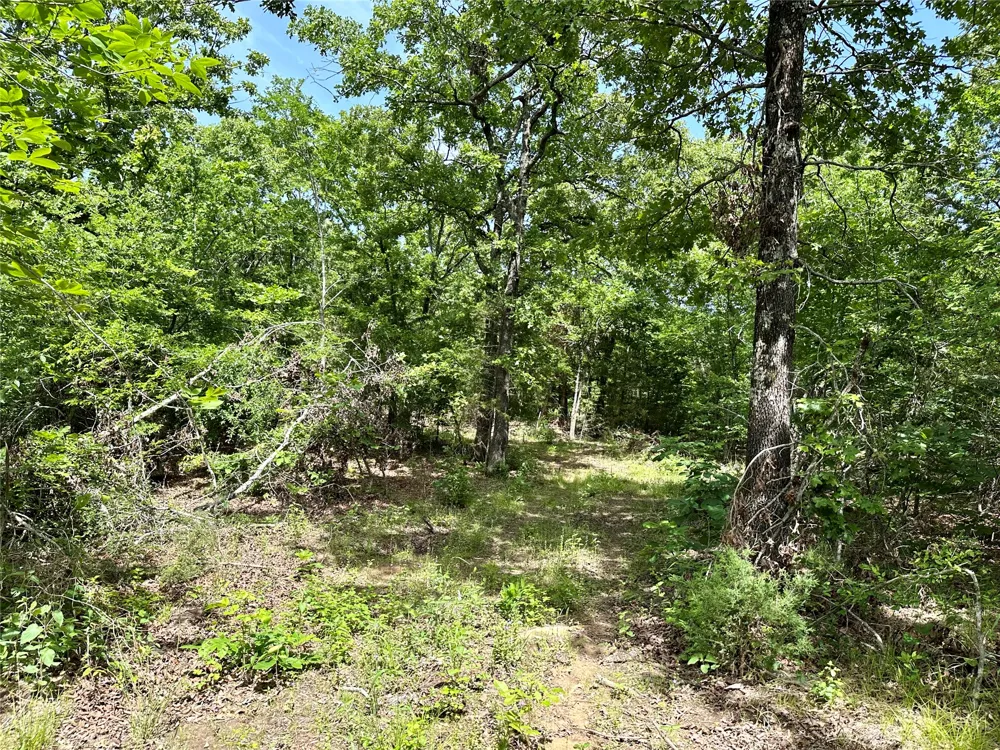 623 Dozer Mountain Road Eufaula, OK 74432