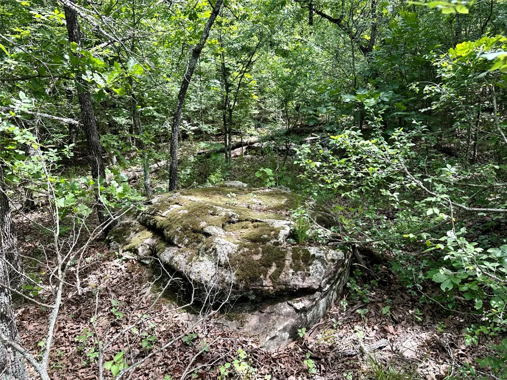623 Dozer Mountain Road Eufaula, OK 74432