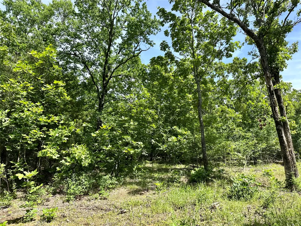 623 Dozer Mountain Road Eufaula, OK 74432