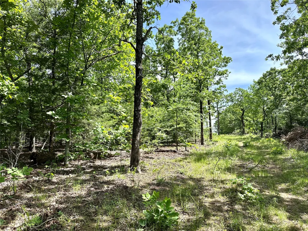 623 Dozer Mountain Road Eufaula, OK 74432