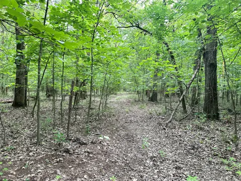 623 Dozer Mountain Road