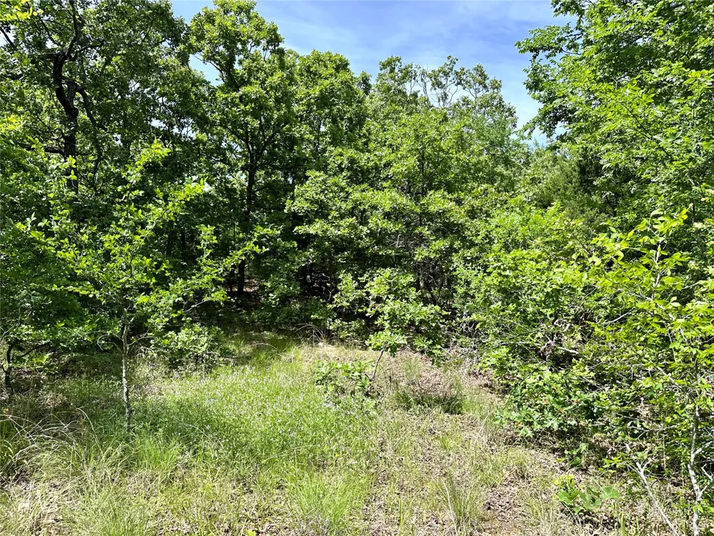 623 Dozer Mountain Road Eufaula, OK 74432