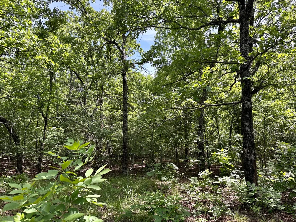 623 Dozer Mountain Road Eufaula, OK 74432