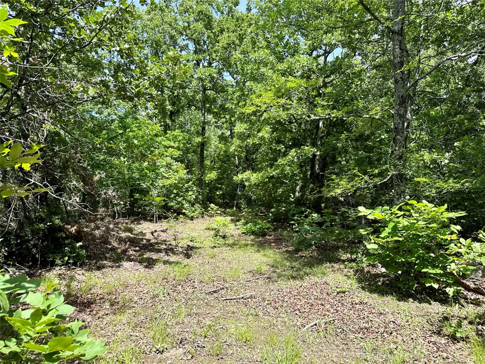 623 Dozer Mountain Road Eufaula, OK 74432