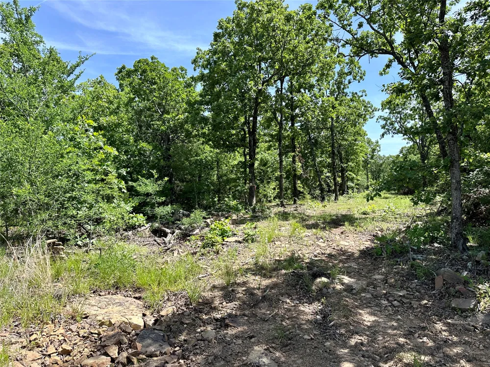 623 Dozer Mountain Road Eufaula, OK 74432