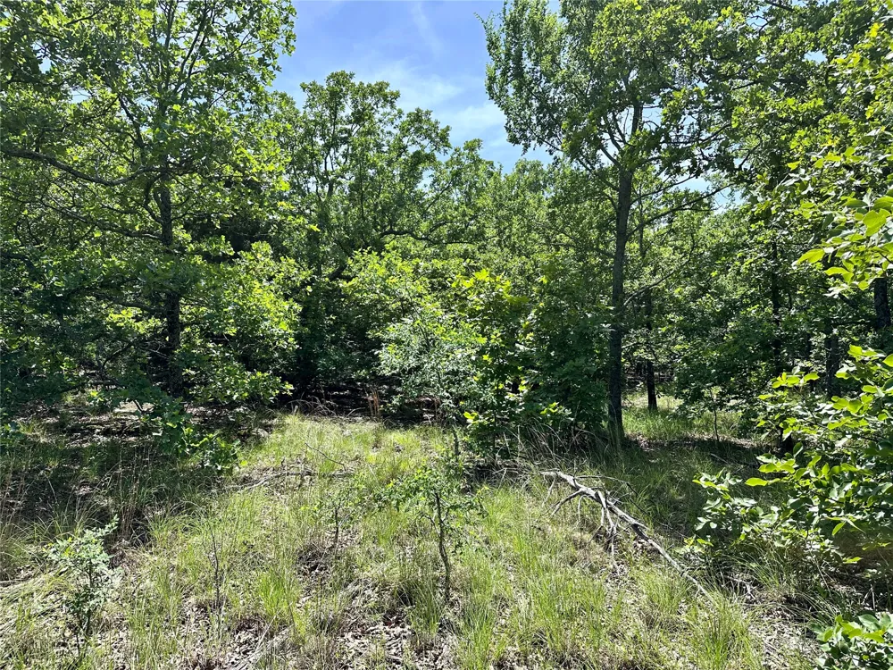623 Dozer Mountain Road Eufaula, OK 74432