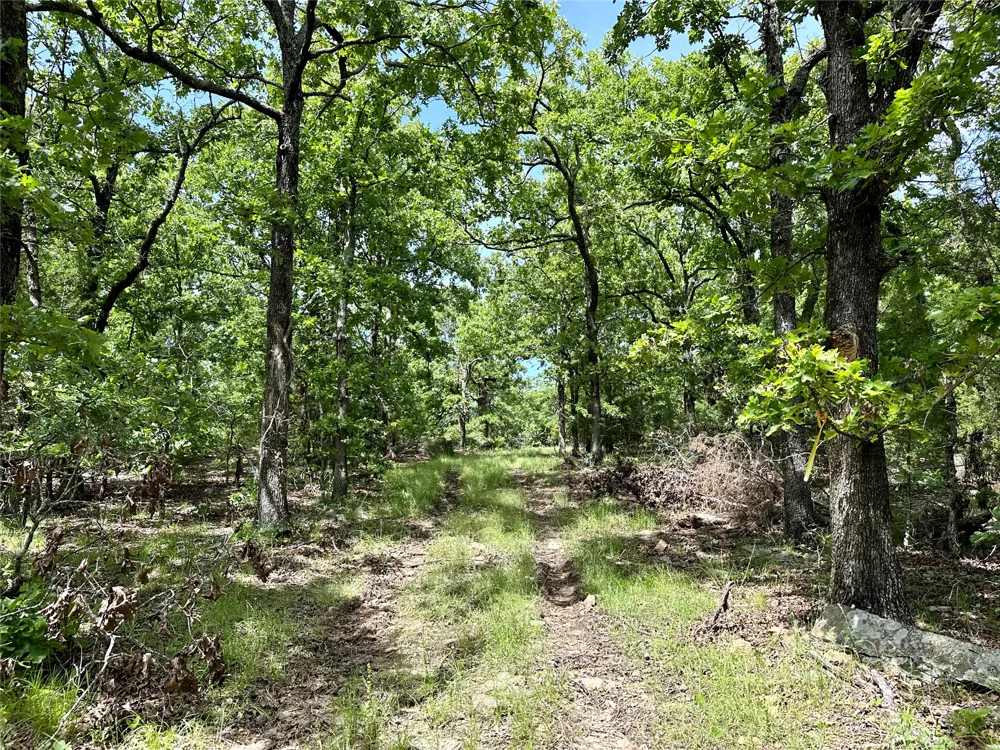 623 Dozer Mountain Road Eufaula, OK 74432
