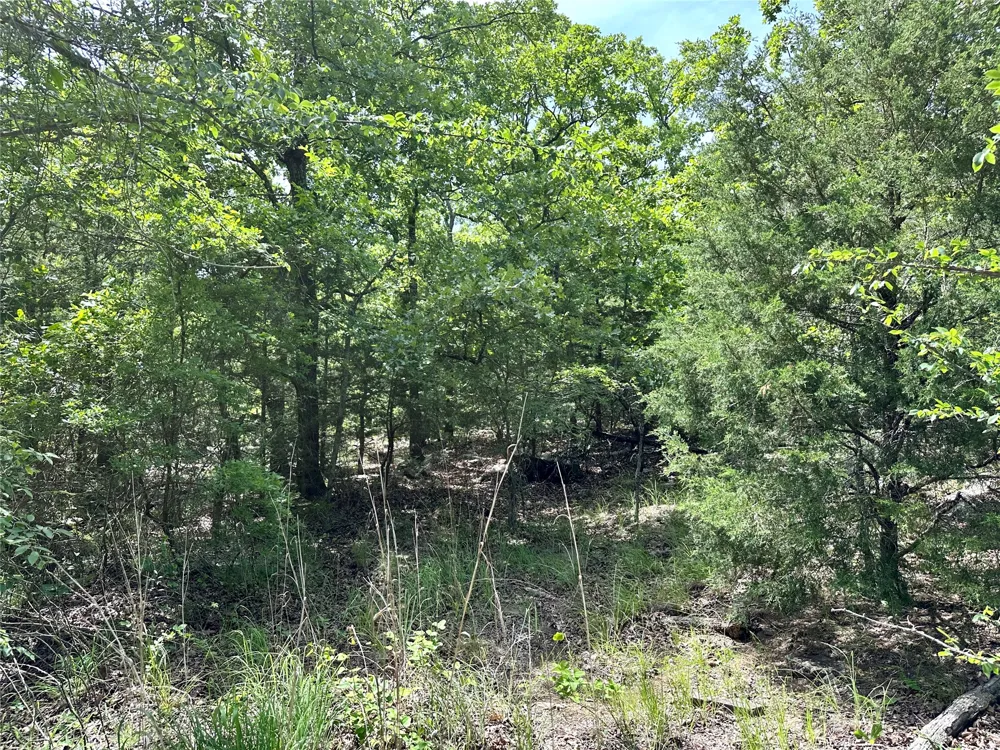 623 Dozer Mountain Road Eufaula, OK 74432