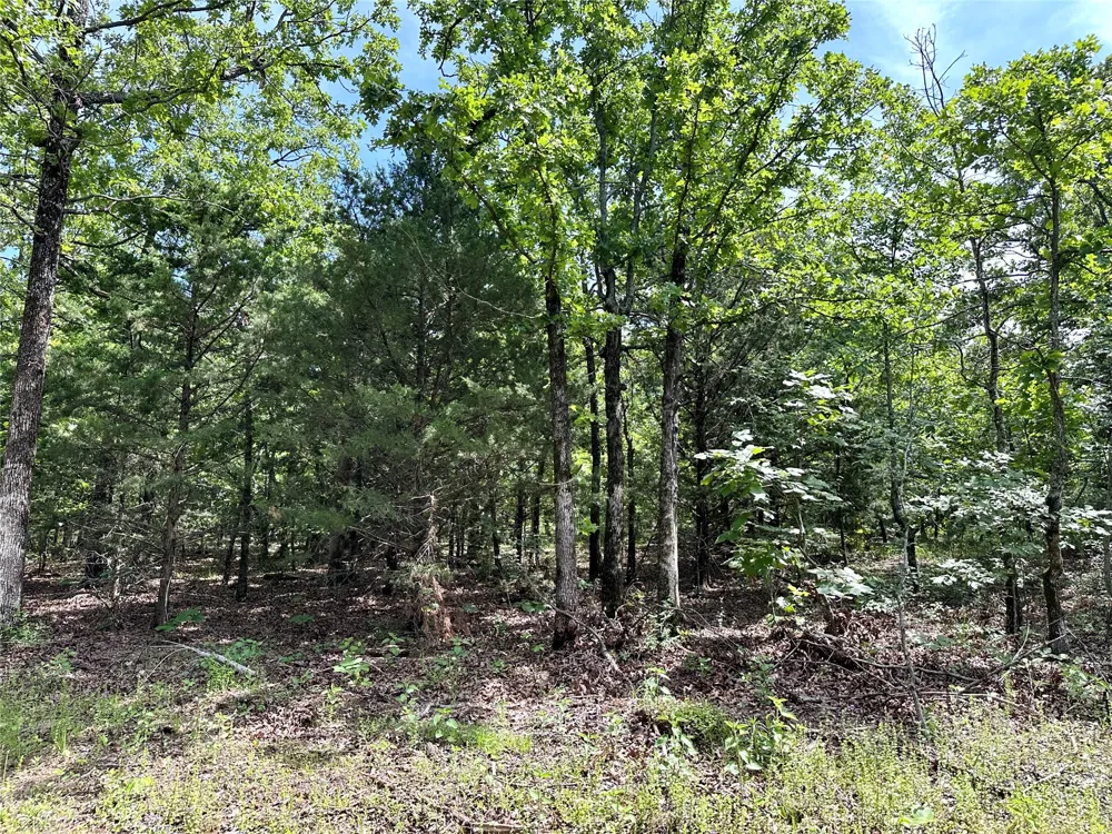 623 Dozer Mountain Road Eufaula, OK 74432