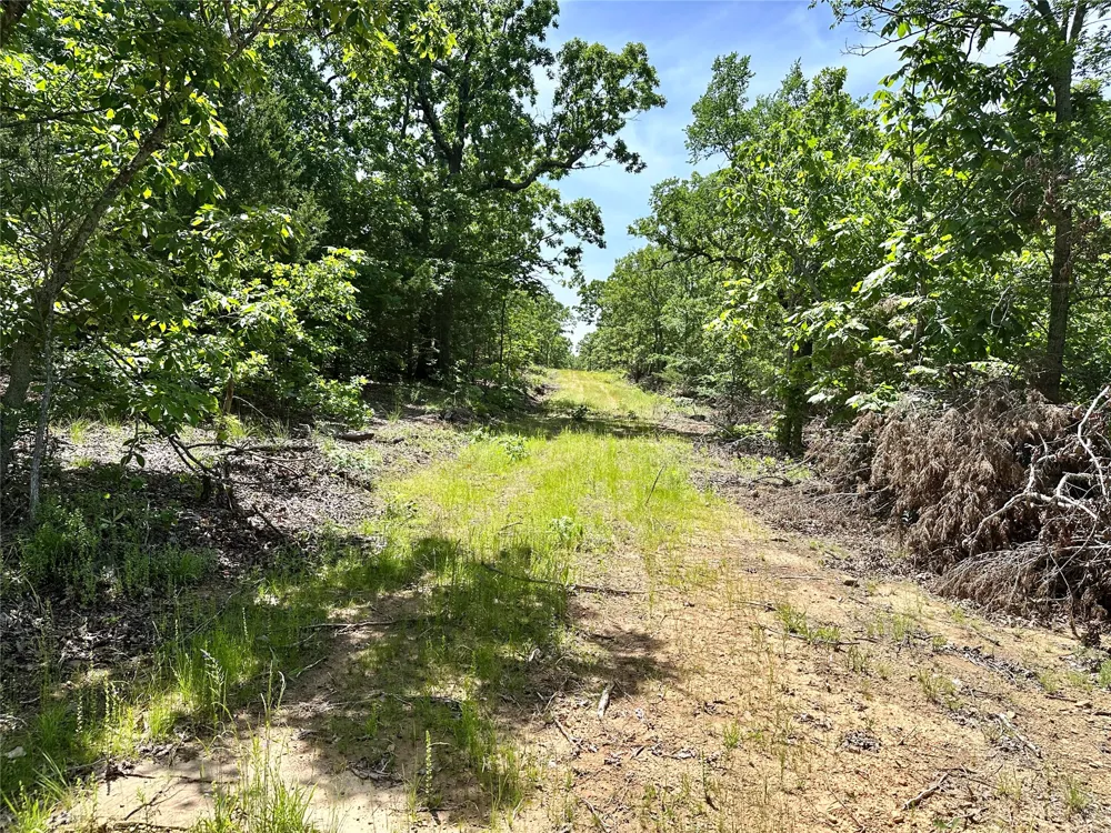 623 Dozer Mountain Road Eufaula, OK 74432