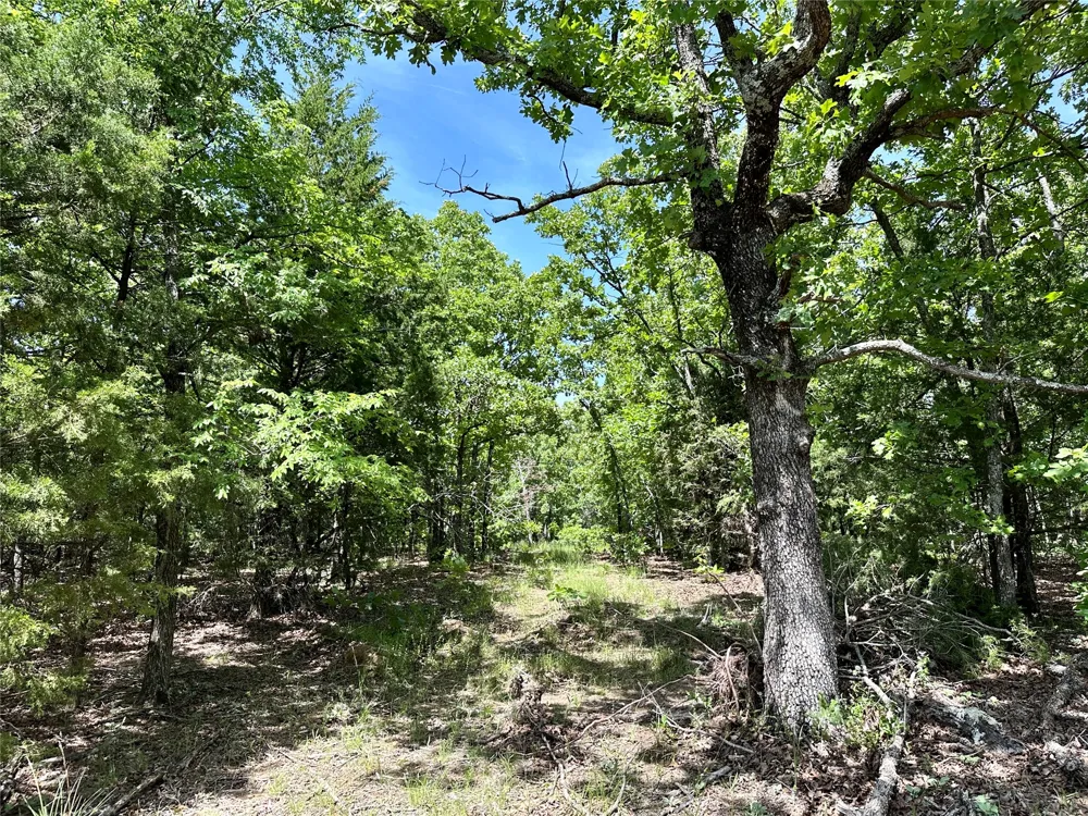 623 Dozer Mountain Road Eufaula, OK 74432