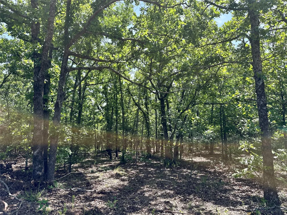 623 Dozer Mountain Road Eufaula, OK 74432