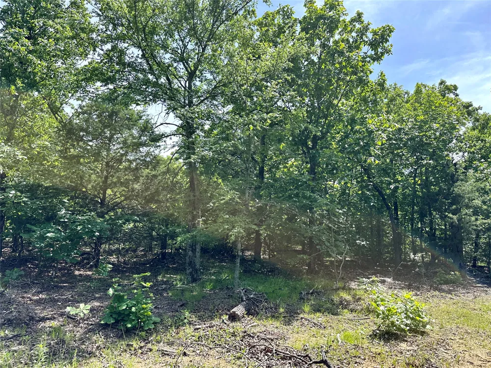 623 Dozer Mountain Road Eufaula, OK 74432