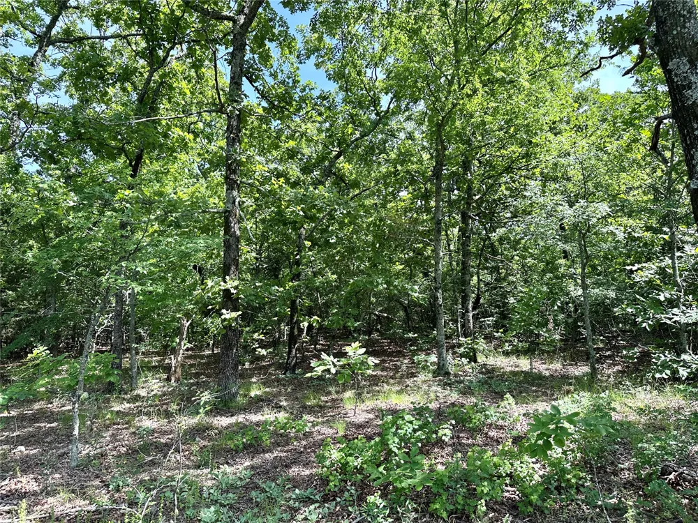 623 Dozer Mountain Road Eufaula, OK 74432