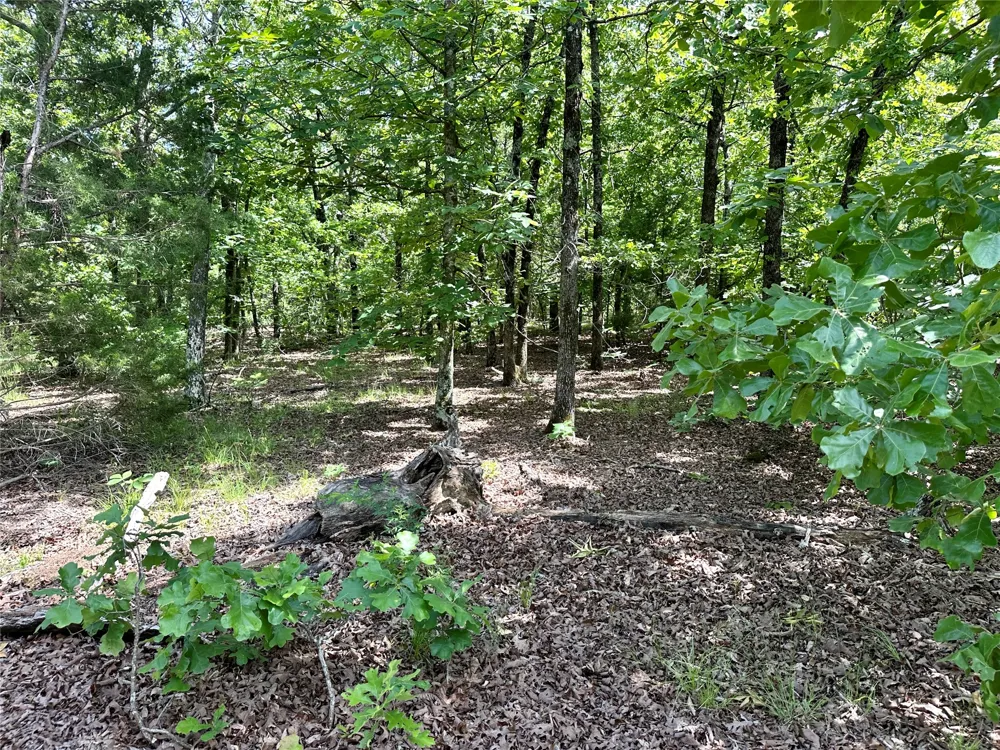 623 Dozer Mountain Road Eufaula, OK 74432