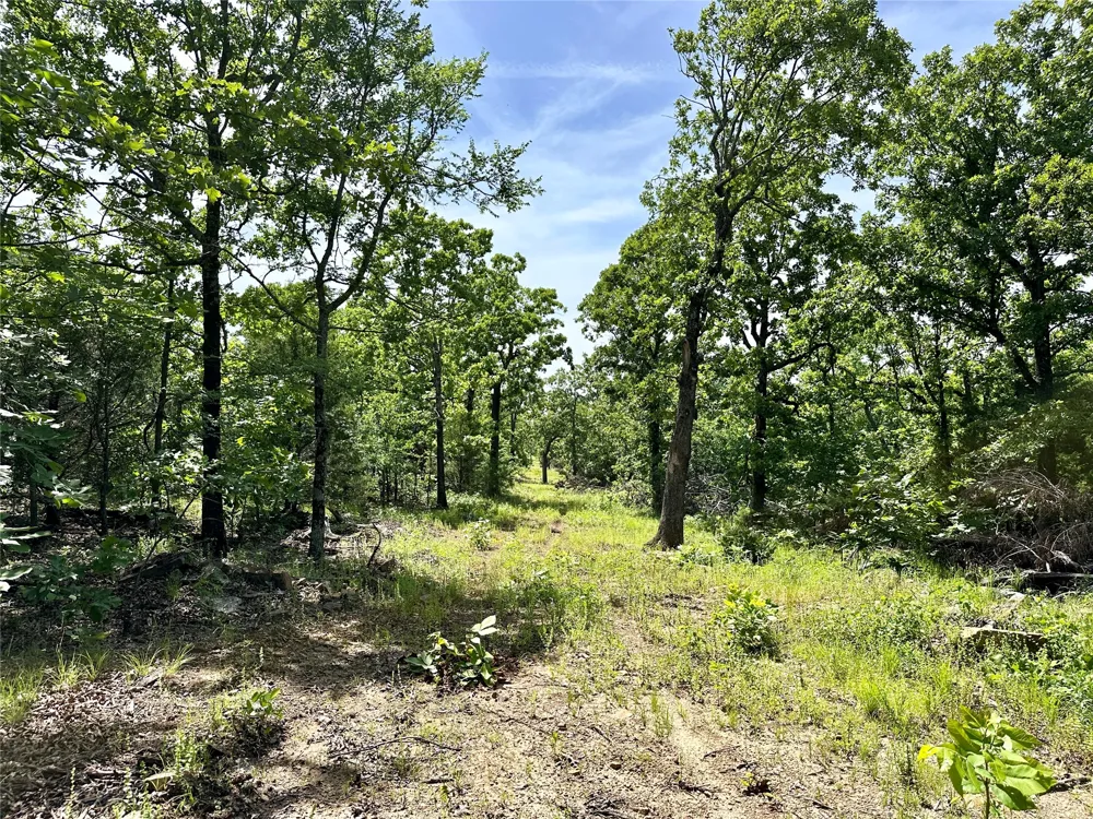 623 Dozer Mountain Road Eufaula, OK 74432