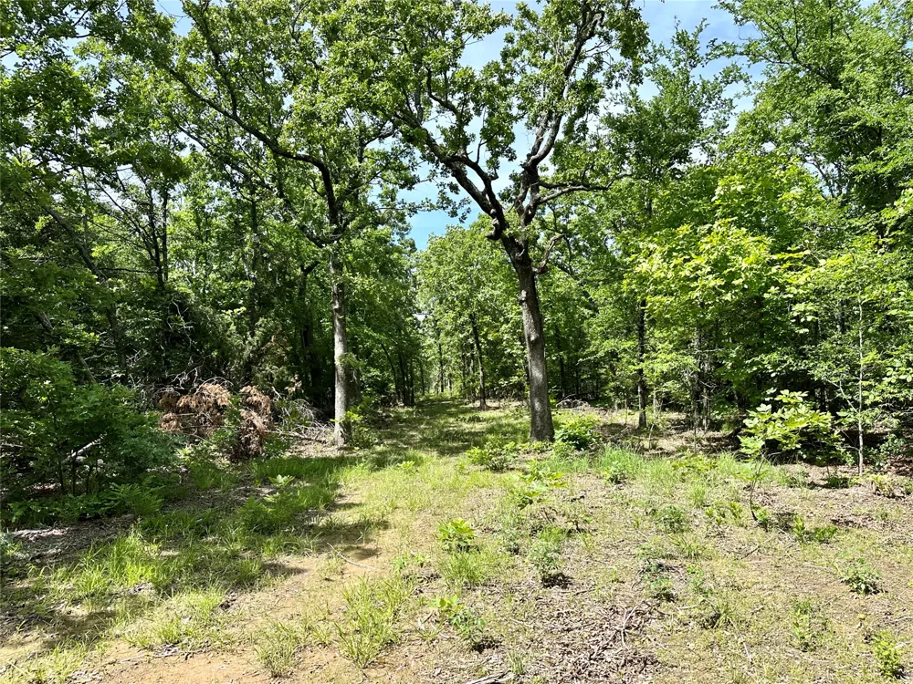 623 Dozer Mountain Road Eufaula, OK 74432
