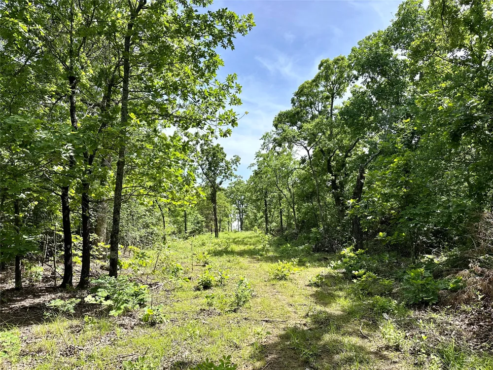 623 Dozer Mountain Road Eufaula, OK 74432