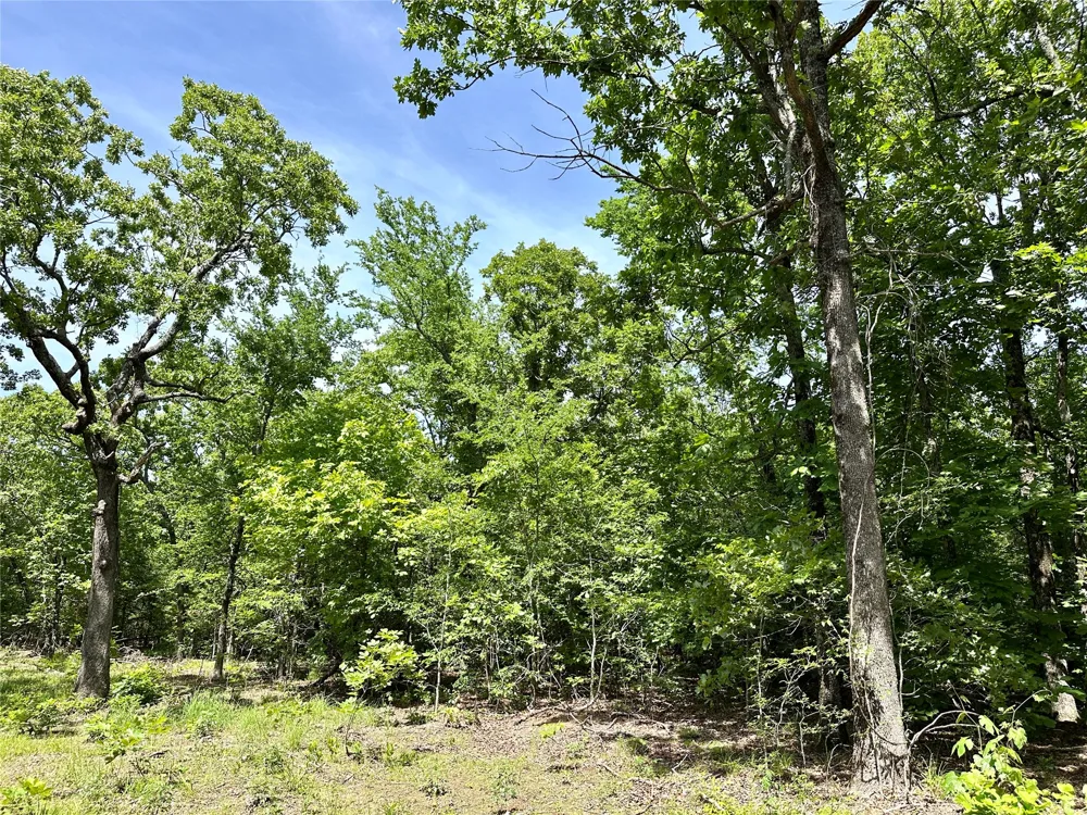 623 Dozer Mountain Road Eufaula, OK 74432