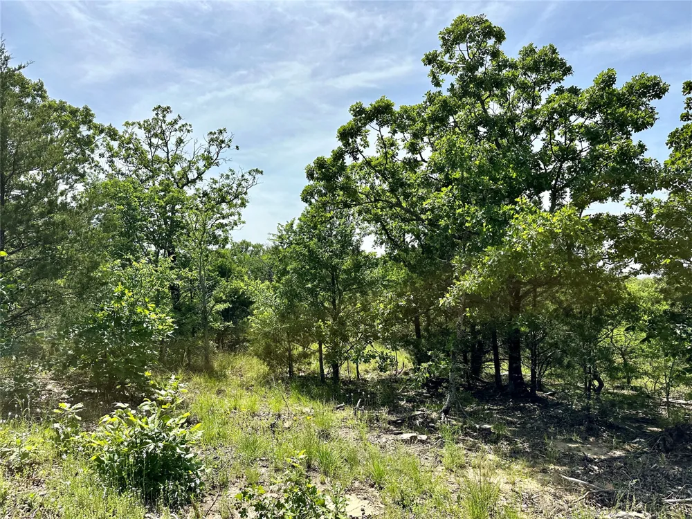 623 Dozer Mountain Road Eufaula, OK 74432