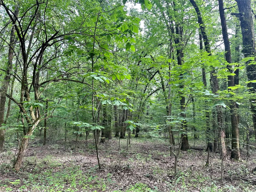 623 Dozer Mountain Road Eufaula, OK 74432