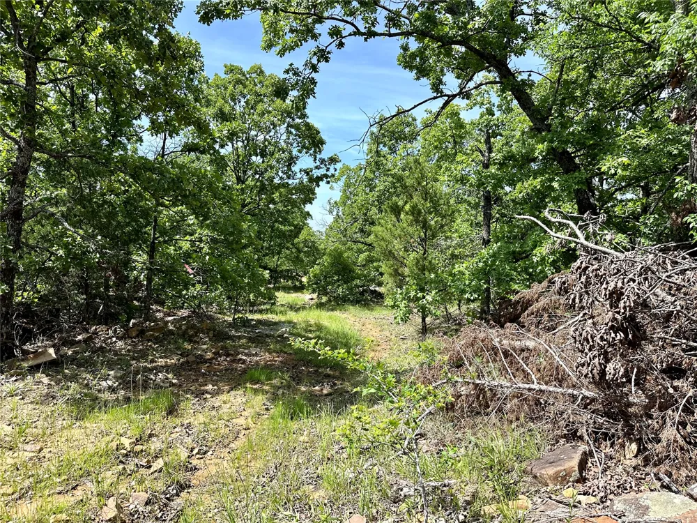 623 Dozer Mountain Road Eufaula, OK 74432