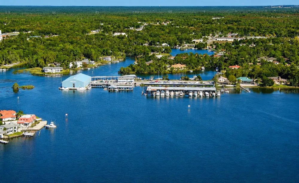 3619 SUWANNEE POINT Crystal River, FL 34428